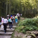 宜兴竹海一日游